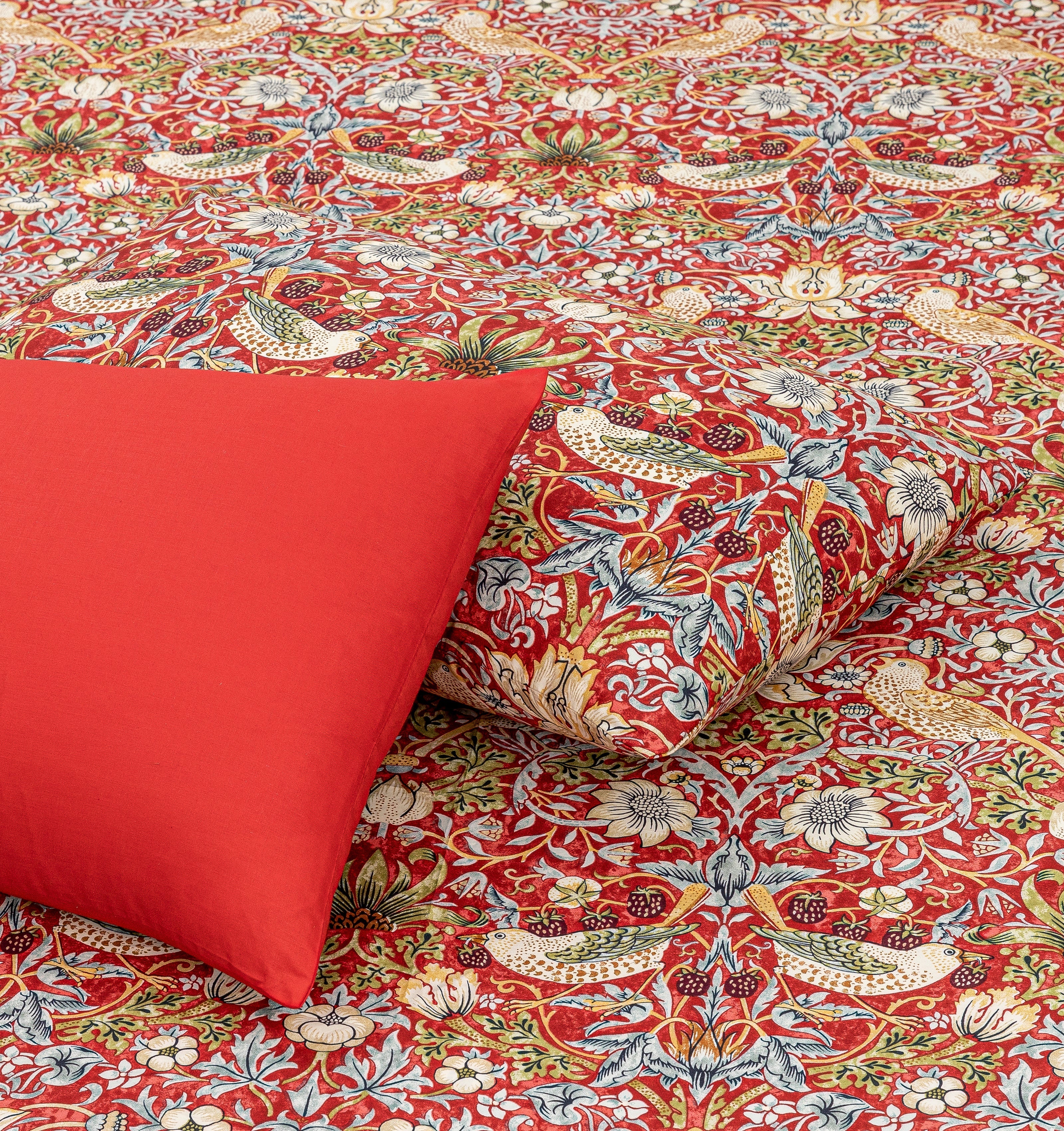 Pure Cotton Fitted Sheet Set - Juliet